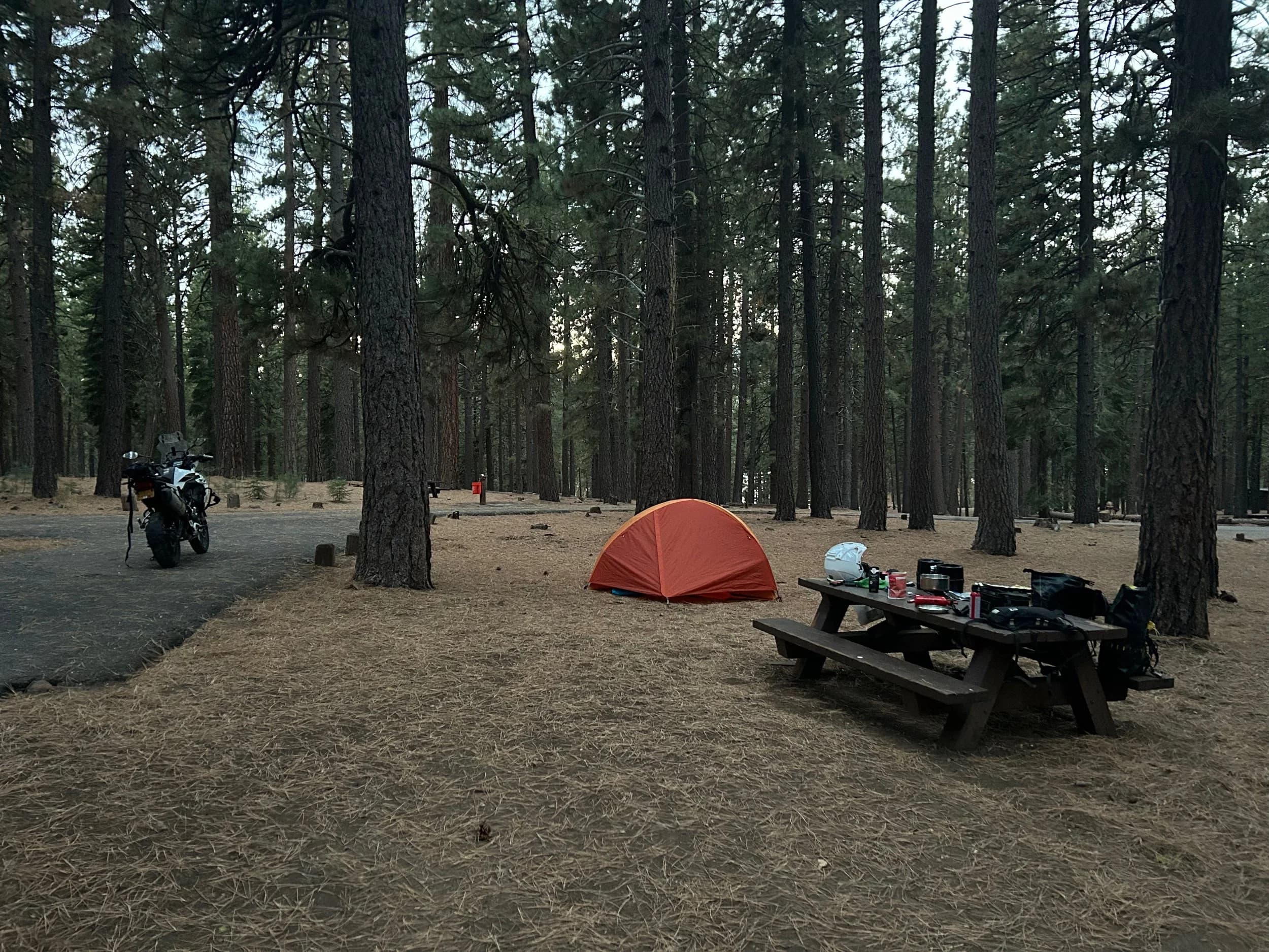 Trip Report: NW National Parks Loop
I left my job recently to take a much needed sabbatical and figure out what I’m doing next. A few weeks after my last day at work I embarked on what was to be a three week tour of NW-ish National Parks from Portland, to include Olympic, North Cascades, Glacier, Yellowstone, Grand Teton, Craters of the Moon, Lassen Volcanic, and Crater Lake.
I ended up missing Grand Tetons due to weather and I had to cut the trip short before I got to Lassen (family medical issue), so Lassen and Crater Lake remain unvisited.
Trip Dates: Sept 3 - Sept 16 (13 days)
Total Travel Miles: 3478 (does not include local miles for store runs, etc.)
Total Gallons of Gas Used: 82
Equipment: 2021 Benelli TRK502X Gaia GPS & Google Maps running on Sonim XP8 rugged Android phoneButler Motorcycle Maps (paper maps of best M/C roads in the country) iPhone 14 (main camera) Akaso Brave 7 helmet-mounted adventure camera Spot X satellite communicator and tracker Wolfman Luggage WP waterproof tank bag and saddle bags (no longer available) Watershed Colorado dry bag duffel (across the pillion seat) Kriega US-5 Drypack (tail bag) Kriega 3L hydration backpack (strapped to duffel, not worn)Marmot Ajax 2 tent Nemo hydrophobic down sleeping bag (non-mummy)Helinox ultralight cot MSR WhisperLite International stove
(Purchased in 1991 for my first moto trip: Detroit, MI to San Diego and back on an XT250)Gossamer Gear Bare Boxer bear-proof food canisters (two - one in each saddle bag)
Day 1 - Olympic National Park Date: Tuesday 9/3/2024
Destination: South Beach Campground, Olympic National Park
Travel Time: 4h 24m
Miles: 213Notes:
Planned to head west to Astoria then north from there, but left later than expected so headed up I-5 to US 12. I’ve driven/ridden that stretch of I-5 hundreds of times (starting in 1993). It’s boring and I hate it.
South Beach CG is first-come-first-served. I didn’t have issue getting a site. There is a long, tight loop of sites along the coastline, but I chose one of the sites further back near the bathrooms due to wind concerns. The bathroom building provided a sort of wind shelter for my site.
I used the heated grips on this leg; it was pretty chilly along the coast in the Olympic Peninsula. I almost didn’t install them, thinking I was being paranoid about the cold. I ended up using them a lot.
Day 2 - Ferry to Seattle / Burien Date: Wednesday 9/4/2024
Destination: Friend’s house in Burien, WA
Travel Time: 7h 30m
Miles: 199
Notes:
Slept well (thanks to Advil PM). I’ve not been sleeping well for more than a year. I’m really hoping to reset my sleep patterns with this trip. A good night’s sleep is one of my great joys and I feel like I’ve been robbed of that pleasure.
Used my Aeropress this morning for the first time ever. I’m hooked.
Headed up along US 101 through Port Angeles and then down to the Southworth ferry terminal near Port Orchard. Ferried across to Fauntleroy, which is just a few miles north my friend’s house in Burien. I’m always surprised at how long it takes to get from the Olympic Peninsula to the east side of Puget Sound (Seattle, etc.). With the ferry crossing (I love ferries) it took seven and a half hours to go 200 miles.
Discovered at my first stop of the day (just up 101 at the Kalaloch Campground, stopped to refill water) that the battery is quite weak and won’t start the bike if you leave the ignition on for even two minutes without the motor running. This would become a theme for the next few days. Fortunately, I have a jumper box and a permanent jump harness wired to the battery so jump starts are a quick operation.
Had a good evening with old friends.
Day 3 - North Cascades via Mountain Loop RoadDate: Thursday 9/5/2024
Destination: Newhalem Campground, North Cascades National Park
Travel Time: 4h 30m
Miles: 146Notes:
Slept well, on the couch. No pills needed.
I realized yesterday that my summer riding gloves (Rev’It Dune) were a size (or two) too small. Rev’It gloves fit really tight and I feel like I can never get it quite right. And yet, I love them. So, I stopped at a Cycle Gear in Bellevue to pick up something summer weight (Dirt 3) that fit better. They’re better, but maybe still one size too small. Such is life.
From Bellevue, I rode north and took the Mountain Loop Hwy then on up north to North Cascades. It was a hot ride. Still summer.
A small section of the Mountain Loop Road is dirt/gravel, which I didn’t realize. No biggie. Was just surprised (clearly I didn’t study my maps closely enough). When riding solo on a bike that weighs over 500 lbs., I tend to avoid planning much off-pavement riding. That’s what my DR-Z is for.
Day 4 - Newport, Washington via Winthrop Date: Friday 9/6/2024
Destination: Golden Spur Motor Inn, Newport, Washington
Travel Time: 8h
Miles: 308
Notes:
Slept just ok, even with Advil PM.
Pretty ride through North Cascades National Park and Colville National Forest. Didn’t do any backroads or hikes. Discovered (new to me) the town of Winthrop. Stopped for coffee at Sheri’s and resupplied on freeze-dried food at Cascades Outdoor Store.
The town of Newport is almost nothing, but, inexplicably, there’s an amazing restaurant (Brownell’s Place). Had dinner and a few ciders. Met and chatted with the owner/chef (she’s great). Listened to some live music. Then back to the motel.
Day 5 - New Battery in Kalispell Date: Saturday 9/7/2024
Destination: West Glacier KOA, West Glacier, MT
Travel Time: 8h 7m
Miles: 293
Notes:
Slept well on motel bed (on sleeping bag, not in the sheets). Another hot one.
Discovered that the water pump seal leaks oil. A quick post in the TRK Facebook group revealed that this is a common problem on this bike, and and easy fix. It’s apparently just a bad o-ring.
Battery has been getting continuously worse, and now requires I jump start the bike about every other start. Google Maps to the rescue: directions to the Batteries Plus in Kalispell, please. They don’t have an Odyssey AGM in the right size; the Duracell will have to do. (It’s been great.)
I set up camp at the West Glacier KOA, which will be my base for a few days. KOAs are their own little world. Very strange. Not really my thing, but the on-site laundry was handy.
After setting up camp I opened a cider and used the iPad to book a vehicle reservation for the next day to ride Going to the Sun Road, which I really wanted to do.
Day 6 - Going to the Sun RoadDate: Sunday 9/8/2024
Destination: Local Ride: West Glacier, Going to the Sun Road, Saint Mary, East Glacier
Travel Time: 5h 35m
Miles: 142Notes:
Quick breakfast and gas up in West Glacier before entering Going to the Sun Road.
Going to the Sun Road was stunning. This was the first point in the trip where I had tingles and was giddy at what I was seeing.
Took a very short hike along Saint Mary Lake. Again, I was beside myself with the beauty.
Lunch at the general store in Kiowa.
The rest of the ride back after East Glacier was meh, but I just kept thinking about how amazing what I’d seen in the morning had been.
Dinner at the KOA. Tacos from a cart (ok / not great, and a very weird guacamole) and a few glasses of wine from another cart. I asked about the guac and it turns out they make it in a food processor. Come on, people.
Day 7 - Ride to BozemanDate: Monday 9/9/2024
Destination: Friend’s house in Bozeman, Montana
Travel Time: ~ 8h (Gaia crashed near the end of the trip, but before getting to Bozeman)
Miles: ~ 400Notes:
Slept poorly again. No pills this time. Took some photos of my soft luggage setup to answer some questions in the TRK502X Facebook group. The saddle bags are from Wolfman Luggage, but I don’t think they make this waterproof line anymore. I use a duffel dry bag from Watershed across the top. A heat shield protects the side bag from exhaust heat.
Hazy, smoky ride most of the way. Very windy in places. This is where I first really started to feel how underpowered the TRK502 is. Really struggled in places.
Developed an engine-speed-sensitive squeak or rattle. Sounds like when a heat shield vibrates in resonance with engine vibration. Discovered that it’s a missing crash bar mounting bolt allowing the crash bar to rub against the frame.
Also noticed that there’s a resonant oscillation at speed that feels like the chain going bad (like it’s stretching unevenly).
First of several nights at a friend’s house in Bozeman (which, it turns out, is a pretty cool town). And there’s a hot tub…
Day 8 - Bike Maintenance & Hyalite ReservoirDate: Tuesday 9/10/2024
Destination: Local Ride: Hyalite Reservoir
Travel Time: not recorded
Miles: not recordedNotes:
Woke up to a smoky sunrise. I had the best night’s sleep I’ve had in years. This is was the whole point of this trip: to untangle my burnout and reclaim sleep as one of my joys. I wrote about it in my journal when I woke up. I hope this wasn’t a fluke.
Planned to replace the bolt that rattled loose from the crash bar, but instead discovered that it had actually severed off at the mount point. No fixing that on the road. Adjusted chain and moved on.
Lunch at Mountains Walking Brewery in Bozeman.
Rode up to Hyalite Reservoir. Pretty ride. Smoky still.
Soaked in hot tub after dinner.
Day 9 - North Yellowstone LoopDate: Wednesday 9/11/2024
Destination: Northern loop through Yellowstone National Park
Travel Time: 9h 36m
Miles: 272Notes:
Did a day trip from Bozeman down through the northern loop in Yellowstone, entering at Mammoth and taking the scenic route through Paradise Valley.
Saw elk, coyotes (I think), buffalo, and pronghorn.
Pretty ride, but cold in places. Used heated grips again.
Rode the loop through Mammoth Hot Springs (see video) at the end.
Coffee at Tumbleweed Bookstore & Cafe in Gardiner. I kind of dig Gardiner. Good vibe.
Had dinner at Mountains Walking Brewing. Rain and wind started. Lights flickered. Waited for rain to stop before riding back to the house.
Power out at the house due to high winds. This does not bode well for tomorrow.
Day 10 - Winter Weather in the ParksDate: Thursday 9/12/2024
Destination: Grand Teton National Park via West Yellowstone Pocatello, Idaho
Travel Time: 5h 40m
Miles: 201Notes:
Today was supposed to be a gorgeous ride through Yellowstone into Grand Teton National Park, and camping at Signal Mountain CG in the park. The weather had other ideas. It was pouring rain (and cold) all the way to West Yellowstone from Bozeman. By the time I got to West Yellowstone I was getting severe winter weather warnings on my phone calling for up to 3 (three!!) inches of snow accumulating in the high passes in the park. It’s bad enough in a car, but that’s a disaster waiting to happen on a motorcycle.
I parked my butt at Mountain Mama’s Cafe in West Yellowstone to warm up / dry off and decide what to do. I almost had myself convinced to push through when I realized that, even if I made it to the campground ok, I’d be setting up camp in the rain and I’d likely be miserable all night. Grand Teton would have to wait.
From West Yellowstone it’s easy to bail west into Idaho and get away from the park weather and elevations. So that’s what I did. It was not a pleasant ride, though. I was in torrential downpours all the way to Idaho Falls.
Arriving in Idaho Falls, I was exhausted and sure I could just find a room for the night. I dropped the bike at a roundabout (short-legged it coming to a stop; I knew it was going so I just rolled away). Guy behind me helped me pick it up. Then, there were no rooms because it was move in week for the two universities there (U of I, ISU). This would become a recurring theme.
I rode further to Blackfoot. Still no rooms.
I called ahead to Pocatello and got a room at a Red Lion there. I was never so happy to be off the bike.
No pictures this day. I couldn’t even get the action camera to turn on.
Day 11 - Craters of the Moon and EBR-1Date: Friday 9/13/2024
Destination: Craters of the Moon National Monument
Travel Time: 4h 20m
Miles: 124
Notes:
I wasn’t sure what my destination would be today but my plan was to do a little nuclear tourism, see Craters of the Moon, and then go somewhere from there. My schedule and day-plan was thrown off by missing Grand Teton National Park and spending a night in Pocatello, which was not on the itinerary at all.
Stopped in Atomic City. Not sure why; I was under the impression that Atomic City was the first city lit by nuclear engergy, but it was practically a ghost town. There are a few houses there, but as far as I could tell all of the business were shuttered. Except, maybe, for the race track; that looked like it might still get used.
Arco, it turns out, is the city celebrated as the first in the world to be lit by nuclear energy. Nothing special about the town, but they do a nice job of making City Hall photo-worthy.
Between Atomic City and Arco is EBR-1 (Experimental Breeder Reactor I) which was the world’s first breeder reactor. The EBR-1 exhibit was closed for the season, but in the lot next to it were some really interesting experimental nuclear heat-transfer jet engines that never made it out of the experimental phase (probably a good thing).
Craters of the Moon is pretty small. If you don’t do any of the walks, it’s literally just a 30 minute road loop. Still, it was an unexpected surprise and delight. I had no idea what to expect but I was positively chuffed at the experience. I noticed that the campground had open sites so I inquired at the entry booth. As luck would have it, the whole campground is first come / first serve. I decided to set up for the night. It’s good to be done early and have some time to read and not stress about making distance.
Day 12 - New Chain in Twin FallsDate: Saturday 9/14/2024
Destination: Battle Mountain, Nevada
Travel Time: 8h 52m
Miles: 335
Notes:
Beautiful morning in Craters of the Moon. While I was breaking camp a parade of classic cars came into the park to drive the loop. I got a picture of one Pontiac down the road in Carey at a gas station.
Carey ended up being an unplanned fork in the road for me. I discovered this morning that my chain was indeed stretching unevenly, and the oscillation I was feeling and hearing was the chain hum changing from a “loose” hum to a “tight” hum rapidly as the tight spot moved around the sprockets. I was supposed to continue west to Mountain Home and then south from there into Nevada. A very scenic route, according to my Butler map. But, between camp and the gas station I got pretty paranoid about the chain snapping at high speed, which, worst case, could lead to a fatal crash.
So I called ahead to a few motorcycle dealers in Mountain Home (on my planned route) to see if they could take me in and replace the chain. No dice. This is the downside of having an obscure motorcycle from an obscure marque - no one wants to work on it. Making matters worse this is an Italian-designed bike built in China, a fact which causes many people to lose the ability to think clearly. “It’s Chinese junk!” Not so. Next.
With Mountain Home out, I tried Twin Falls. My first call was to Adventure Motorsports, and the service manager there took me in with no hesitation. “How soon can you be here?” I didn’t get his name, but my hat’s off to him and his one tech working furiously on a Saturday to beat the 3pm closing time. He said during high season, they get about 15-20 out of town travelers per week who need something done, and they take them all in. I love to hear stuff like this. This shop is in it for the community. They have a nice showroom, too.
With a quality new chain installed, I got a burrito and a MexiCoke at a Mexican place and went on my way. I made it to Battle Mountain, NV, where I decide to get a room. Tomorrow I rejoin my planned scenic route. Day 13 - Desert Mountains in NV, CADate: Sunday 9/15/2024
Destination: Grizzly Campground, Lake Davis (near Portola, CA)
Travel Time: 7h
Miles: 307
Notes:
I love the northern Nevada landscape, and today’s ride didn’t disappoint. US Highway 50 is apparently known as “The Loneliest Highway” but everyone knows about it, so it’s not very lonely. However, after leaving Austin, NV headed west you can take Nevada Highway 722, which dips to the south and follows the old US 50 route. It was completely empty and the twisties through the passes were fun. Highly recommended.
Stopped in Fallon for gas and to find a Micro SD card for the action camera. Walmart to the rescue.
After Reno, I crossed into California and, I swear, it looks different. Norther California desert mountains are so beautiful.
Camped at a nearly empty campground on Lake Davis (very end of the season). The host warned me rain was coming tomorrow.
Day 14 - Unplanned Return HomeDate: Monday 9/16/2024
Destination: Summit Lake Campground, Lassen Volcanic National Park Portland, Oregon (Home)
Travel Time: 10h 32m
Miles: 538Notes:
Last week, my mom went into the hospital for a fairly routine procedure. My brother went to Michigan to help out, as needed, and he went back home to Arizona after she returned home and everything seemed settled.
This morning, while having coffee, I got a call that she’d gone back into the hospital with something that may or may not have been related to the procedure. It seemed like maybe things were ok, but maybe not.
I decided the best thing to do was head home so that I was near an airport if I needed to fly out to Michigan to help out.
I packed up camp and headed up US 395 toward home, via Klamath Falls. It was a pretty ride, but, once again, I found myself in rain most of the way to Klamath Falls.
I was pretty beat by the time I got to Klamath Falls and figured I’d just find a hotel room, get a hot shower, and finish the ride tomorrow.
But, once again, it was move-in week for the local university. Holiday Inn Express had a single room for $395. No thanks. Onward.
I never hit rain again after Klamath Falls, and after turning west onto Oregon Hwy 58 and starting to lose elevation into the Willamette Valley, the temperature starting rising, which was welcome.
Once I reached Eugene, there was no point in not just going all the way home, so that’s what I did.
I got two pictures: one at camp before the call, and one at my last gas stop, an hour and twenty minutes from home, with the moon rising.
A nice side effect of my early return home is that I was home for my birthday (tomorrow), so I had dinner with my kids and my wife, which was lovely.
I did end up flying to Michigan the next day, and was there for a bit. The best part? I got to make some meals for my mom and step dad. Everything seems ok with my mom for now.
Grand Teton, Lassen, and Crater Lake will be there, and now I have an excuse for another trip in the future.