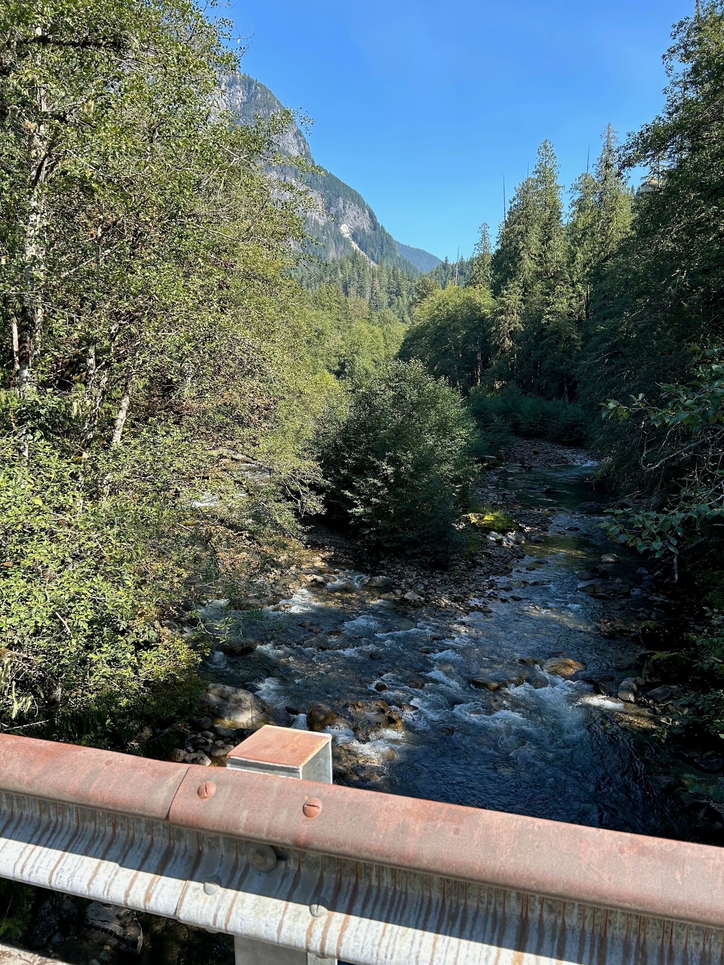 Trip Report: NW National Parks Loop
I left my job recently to take a much needed sabbatical and figure out what I’m doing next. A few weeks after my last day at work I embarked on what was to be a three week tour of NW-ish National Parks from Portland, to include Olympic, North Cascades, Glacier, Yellowstone, Grand Teton, Craters of the Moon, Lassen Volcanic, and Crater Lake.
I ended up missing Grand Tetons due to weather and I had to cut the trip short before I got to Lassen (family medical issue), so Lassen and Crater Lake remain unvisited.
Trip Dates: Sept 3 - Sept 16 (13 days)
Total Travel Miles: 3478 (does not include local miles for store runs, etc.)
Total Gallons of Gas Used: 82
Equipment: 2021 Benelli TRK502X Gaia GPS & Google Maps running on Sonim XP8 rugged Android phoneButler Motorcycle Maps (paper maps of best M/C roads in the country) iPhone 14 (main camera) Akaso Brave 7 helmet-mounted adventure camera Spot X satellite communicator and tracker Wolfman Luggage WP waterproof tank bag and saddle bags (no longer available) Watershed Colorado dry bag duffel (across the pillion seat) Kriega US-5 Drypack (tail bag) Kriega 3L hydration backpack (strapped to duffel, not worn)Marmot Ajax 2 tent Nemo hydrophobic down sleeping bag (non-mummy)Helinox ultralight cot MSR WhisperLite International stove
(Purchased in 1991 for my first moto trip: Detroit, MI to San Diego and back on an XT250)Gossamer Gear Bare Boxer bear-proof food canisters (two - one in each saddle bag)
Day 1 - Olympic National Park Date: Tuesday 9/3/2024
Destination: South Beach Campground, Olympic National Park
Travel Time: 4h 24m
Miles: 213Notes:
Planned to head west to Astoria then north from there, but left later than expected so headed up I-5 to US 12. I’ve driven/ridden that stretch of I-5 hundreds of times (starting in 1993). It’s boring and I hate it.
South Beach CG is first-come-first-served. I didn’t have issue getting a site. There is a long, tight loop of sites along the coastline, but I chose one of the sites further back near the bathrooms due to wind concerns. The bathroom building provided a sort of wind shelter for my site.
I used the heated grips on this leg; it was pretty chilly along the coast in the Olympic Peninsula. I almost didn’t install them, thinking I was being paranoid about the cold. I ended up using them a lot.
Day 2 - Ferry to Seattle / Burien Date: Wednesday 9/4/2024
Destination: Friend’s house in Burien, WA
Travel Time: 7h 30m
Miles: 199
Notes:
Slept well (thanks to Advil PM). I’ve not been sleeping well for more than a year. I’m really hoping to reset my sleep patterns with this trip. A good night’s sleep is one of my great joys and I feel like I’ve been robbed of that pleasure.
Used my Aeropress this morning for the first time ever. I’m hooked.
Headed up along US 101 through Port Angeles and then down to the Southworth ferry terminal near Port Orchard. Ferried across to Fauntleroy, which is just a few miles north my friend’s house in Burien. I’m always surprised at how long it takes to get from the Olympic Peninsula to the east side of Puget Sound (Seattle, etc.). With the ferry crossing (I love ferries) it took seven and a half hours to go 200 miles.
Discovered at my first stop of the day (just up 101 at the Kalaloch Campground, stopped to refill water) that the battery is quite weak and won’t start the bike if you leave the ignition on for even two minutes without the motor running. This would become a theme for the next few days. Fortunately, I have a jumper box and a permanent jump harness wired to the battery so jump starts are a quick operation.
Had a good evening with old friends.
Day 3 - North Cascades via Mountain Loop RoadDate: Thursday 9/5/2024
Destination: Newhalem Campground, North Cascades National Park
Travel Time: 4h 30m
Miles: 146Notes:
Slept well, on the couch. No pills needed.
I realized yesterday that my summer riding gloves (Rev’It Dune) were a size (or two) too small. Rev’It gloves fit really tight and I feel like I can never get it quite right. And yet, I love them. So, I stopped at a Cycle Gear in Bellevue to pick up something summer weight (Dirt 3) that fit better. They’re better, but maybe still one size too small. Such is life.
From Bellevue, I rode north and took the Mountain Loop Hwy then on up north to North Cascades. It was a hot ride. Still summer.
A small section of the Mountain Loop Road is dirt/gravel, which I didn’t realize. No biggie. Was just surprised (clearly I didn’t study my maps closely enough). When riding solo on a bike that weighs over 500 lbs., I tend to avoid planning much off-pavement riding. That’s what my DR-Z is for.
Day 4 - Newport, Washington via Winthrop Date: Friday 9/6/2024
Destination: Golden Spur Motor Inn, Newport, Washington
Travel Time: 8h
Miles: 308
Notes:
Slept just ok, even with Advil PM.
Pretty ride through North Cascades National Park and Colville National Forest. Didn’t do any backroads or hikes. Discovered (new to me) the town of Winthrop. Stopped for coffee at Sheri’s and resupplied on freeze-dried food at Cascades Outdoor Store.
The town of Newport is almost nothing, but, inexplicably, there’s an amazing restaurant (Brownell’s Place). Had dinner and a few ciders. Met and chatted with the owner/chef (she’s great). Listened to some live music. Then back to the motel.
Day 5 - New Battery in Kalispell Date: Saturday 9/7/2024
Destination: West Glacier KOA, West Glacier, MT
Travel Time: 8h 7m
Miles: 293
Notes:
Slept well on motel bed (on sleeping bag, not in the sheets). Another hot one.
Discovered that the water pump seal leaks oil. A quick post in the TRK Facebook group revealed that this is a common problem on this bike, and and easy fix. It’s apparently just a bad o-ring.
Battery has been getting continuously worse, and now requires I jump start the bike about every other start. Google Maps to the rescue: directions to the Batteries Plus in Kalispell, please. They don’t have an Odyssey AGM in the right size; the Duracell will have to do. (It’s been great.)
I set up camp at the West Glacier KOA, which will be my base for a few days. KOAs are their own little world. Very strange. Not really my thing, but the on-site laundry was handy.
After setting up camp I opened a cider and used the iPad to book a vehicle reservation for the next day to ride Going to the Sun Road, which I really wanted to do.
Day 6 - Going to the Sun RoadDate: Sunday 9/8/2024
Destination: Local Ride: West Glacier, Going to the Sun Road, Saint Mary, East Glacier
Travel Time: 5h 35m
Miles: 142Notes:
Quick breakfast and gas up in West Glacier before entering Going to the Sun Road.
Going to the Sun Road was stunning. This was the first point in the trip where I had tingles and was giddy at what I was seeing.
Took a very short hike along Saint Mary Lake. Again, I was beside myself with the beauty.
Lunch at the general store in Kiowa.
The rest of the ride back after East Glacier was meh, but I just kept thinking about how amazing what I’d seen in the morning had been.
Dinner at the KOA. Tacos from a cart (ok / not great, and a very weird guacamole) and a few glasses of wine from another cart. I asked about the guac and it turns out they make it in a food processor. Come on, people.
Day 7 - Ride to BozemanDate: Monday 9/9/2024
Destination: Friend’s house in Bozeman, Montana
Travel Time: ~ 8h (Gaia crashed near the end of the trip, but before getting to Bozeman)
Miles: ~ 400Notes:
Slept poorly again. No pills this time. Took some photos of my soft luggage setup to answer some questions in the TRK502X Facebook group. The saddle bags are from Wolfman Luggage, but I don’t think they make this waterproof line anymore. I use a duffel dry bag from Watershed across the top. A heat shield protects the side bag from exhaust heat.
Hazy, smoky ride most of the way. Very windy in places. This is where I first really started to feel how underpowered the TRK502 is. Really struggled in places.
Developed an engine-speed-sensitive squeak or rattle. Sounds like when a heat shield vibrates in resonance with engine vibration. Discovered that it’s a missing crash bar mounting bolt allowing the crash bar to rub against the frame.
Also noticed that there’s a resonant oscillation at speed that feels like the chain going bad (like it’s stretching unevenly).
First of several nights at a friend’s house in Bozeman (which, it turns out, is a pretty cool town). And there’s a hot tub…
Day 8 - Bike Maintenance & Hyalite ReservoirDate: Tuesday 9/10/2024
Destination: Local Ride: Hyalite Reservoir
Travel Time: not recorded
Miles: not recordedNotes:
Woke up to a smoky sunrise. I had the best night’s sleep I’ve had in years. This is was the whole point of this trip: to untangle my burnout and reclaim sleep as one of my joys. I wrote about it in my journal when I woke up. I hope this wasn’t a fluke.
Planned to replace the bolt that rattled loose from the crash bar, but instead discovered that it had actually severed off at the mount point. No fixing that on the road. Adjusted chain and moved on.
Lunch at Mountains Walking Brewery in Bozeman.
Rode up to Hyalite Reservoir. Pretty ride. Smoky still.
Soaked in hot tub after dinner.
Day 9 - North Yellowstone LoopDate: Wednesday 9/11/2024
Destination: Northern loop through Yellowstone National Park
Travel Time: 9h 36m
Miles: 272Notes:
Did a day trip from Bozeman down through the northern loop in Yellowstone, entering at Mammoth and taking the scenic route through Paradise Valley.
Saw elk, coyotes (I think), buffalo, and pronghorn.
Pretty ride, but cold in places. Used heated grips again.
Rode the loop through Mammoth Hot Springs (see video) at the end.
Coffee at Tumbleweed Bookstore & Cafe in Gardiner. I kind of dig Gardiner. Good vibe.
Had dinner at Mountains Walking Brewing. Rain and wind started. Lights flickered. Waited for rain to stop before riding back to the house.
Power out at the house due to high winds. This does not bode well for tomorrow.
Day 10 - Winter Weather in the ParksDate: Thursday 9/12/2024
Destination: Grand Teton National Park via West Yellowstone Pocatello, Idaho
Travel Time: 5h 40m
Miles: 201Notes:
Today was supposed to be a gorgeous ride through Yellowstone into Grand Teton National Park, and camping at Signal Mountain CG in the park. The weather had other ideas. It was pouring rain (and cold) all the way to West Yellowstone from Bozeman. By the time I got to West Yellowstone I was getting severe winter weather warnings on my phone calling for up to 3 (three!!) inches of snow accumulating in the high passes in the park. It’s bad enough in a car, but that’s a disaster waiting to happen on a motorcycle.
I parked my butt at Mountain Mama’s Cafe in West Yellowstone to warm up / dry off and decide what to do. I almost had myself convinced to push through when I realized that, even if I made it to the campground ok, I’d be setting up camp in the rain and I’d likely be miserable all night. Grand Teton would have to wait.
From West Yellowstone it’s easy to bail west into Idaho and get away from the park weather and elevations. So that’s what I did. It was not a pleasant ride, though. I was in torrential downpours all the way to Idaho Falls.
Arriving in Idaho Falls, I was exhausted and sure I could just find a room for the night. I dropped the bike at a roundabout (short-legged it coming to a stop; I knew it was going so I just rolled away). Guy behind me helped me pick it up. Then, there were no rooms because it was move in week for the two universities there (U of I, ISU). This would become a recurring theme.
I rode further to Blackfoot. Still no rooms.
I called ahead to Pocatello and got a room at a Red Lion there. I was never so happy to be off the bike.
No pictures this day. I couldn’t even get the action camera to turn on.
Day 11 - Craters of the Moon and EBR-1Date: Friday 9/13/2024
Destination: Craters of the Moon National Monument
Travel Time: 4h 20m
Miles: 124
Notes:
I wasn’t sure what my destination would be today but my plan was to do a little nuclear tourism, see Craters of the Moon, and then go somewhere from there. My schedule and day-plan was thrown off by missing Grand Teton National Park and spending a night in Pocatello, which was not on the itinerary at all.
Stopped in Atomic City. Not sure why; I was under the impression that Atomic City was the first city lit by nuclear engergy, but it was practically a ghost town. There are a few houses there, but as far as I could tell all of the business were shuttered. Except, maybe, for the race track; that looked like it might still get used.
Arco, it turns out, is the city celebrated as the first in the world to be lit by nuclear energy. Nothing special about the town, but they do a nice job of making City Hall photo-worthy.
Between Atomic City and Arco is EBR-1 (Experimental Breeder Reactor I) which was the world’s first breeder reactor. The EBR-1 exhibit was closed for the season, but in the lot next to it were some really interesting experimental nuclear heat-transfer jet engines that never made it out of the experimental phase (probably a good thing).
Craters of the Moon is pretty small. If you don’t do any of the walks, it’s literally just a 30 minute road loop. Still, it was an unexpected surprise and delight. I had no idea what to expect but I was positively chuffed at the experience. I noticed that the campground had open sites so I inquired at the entry booth. As luck would have it, the whole campground is first come / first serve. I decided to set up for the night. It’s good to be done early and have some time to read and not stress about making distance.
Day 12 - New Chain in Twin FallsDate: Saturday 9/14/2024
Destination: Battle Mountain, Nevada
Travel Time: 8h 52m
Miles: 335
Notes:
Beautiful morning in Craters of the Moon. While I was breaking camp a parade of classic cars came into the park to drive the loop. I got a picture of one Pontiac down the road in Carey at a gas station.
Carey ended up being an unplanned fork in the road for me. I discovered this morning that my chain was indeed stretching unevenly, and the oscillation I was feeling and hearing was the chain hum changing from a “loose” hum to a “tight” hum rapidly as the tight spot moved around the sprockets. I was supposed to continue west to Mountain Home and then south from there into Nevada. A very scenic route, according to my Butler map. But, between camp and the gas station I got pretty paranoid about the chain snapping at high speed, which, worst case, could lead to a fatal crash.
So I called ahead to a few motorcycle dealers in Mountain Home (on my planned route) to see if they could take me in and replace the chain. No dice. This is the downside of having an obscure motorcycle from an obscure marque - no one wants to work on it. Making matters worse this is an Italian-designed bike built in China, a fact which causes many people to lose the ability to think clearly. “It’s Chinese junk!” Not so. Next.
With Mountain Home out, I tried Twin Falls. My first call was to Adventure Motorsports, and the service manager there took me in with no hesitation. “How soon can you be here?” I didn’t get his name, but my hat’s off to him and his one tech working furiously on a Saturday to beat the 3pm closing time. He said during high season, they get about 15-20 out of town travelers per week who need something done, and they take them all in. I love to hear stuff like this. This shop is in it for the community. They have a nice showroom, too.
With a quality new chain installed, I got a burrito and a MexiCoke at a Mexican place and went on my way. I made it to Battle Mountain, NV, where I decide to get a room. Tomorrow I rejoin my planned scenic route. Day 13 - Desert Mountains in NV, CADate: Sunday 9/15/2024
Destination: Grizzly Campground, Lake Davis (near Portola, CA)
Travel Time: 7h
Miles: 307
Notes:
I love the northern Nevada landscape, and today’s ride didn’t disappoint. US Highway 50 is apparently known as “The Loneliest Highway” but everyone knows about it, so it’s not very lonely. However, after leaving Austin, NV headed west you can take Nevada Highway 722, which dips to the south and follows the old US 50 route. It was completely empty and the twisties through the passes were fun. Highly recommended.
Stopped in Fallon for gas and to find a Micro SD card for the action camera. Walmart to the rescue.
After Reno, I crossed into California and, I swear, it looks different. Norther California desert mountains are so beautiful.
Camped at a nearly empty campground on Lake Davis (very end of the season). The host warned me rain was coming tomorrow.
Day 14 - Unplanned Return HomeDate: Monday 9/16/2024
Destination: Summit Lake Campground, Lassen Volcanic National Park Portland, Oregon (Home)
Travel Time: 10h 32m
Miles: 538Notes:
Last week, my mom went into the hospital for a fairly routine procedure. My brother went to Michigan to help out, as needed, and he went back home to Arizona after she returned home and everything seemed settled.
This morning, while having coffee, I got a call that she’d gone back into the hospital with something that may or may not have been related to the procedure. It seemed like maybe things were ok, but maybe not.
I decided the best thing to do was head home so that I was near an airport if I needed to fly out to Michigan to help out.
I packed up camp and headed up US 395 toward home, via Klamath Falls. It was a pretty ride, but, once again, I found myself in rain most of the way to Klamath Falls.
I was pretty beat by the time I got to Klamath Falls and figured I’d just find a hotel room, get a hot shower, and finish the ride tomorrow.
But, once again, it was move-in week for the local university. Holiday Inn Express had a single room for $395. No thanks. Onward.
I never hit rain again after Klamath Falls, and after turning west onto Oregon Hwy 58 and starting to lose elevation into the Willamette Valley, the temperature starting rising, which was welcome.
Once I reached Eugene, there was no point in not just going all the way home, so that’s what I did.
I got two pictures: one at camp before the call, and one at my last gas stop, an hour and twenty minutes from home, with the moon rising.
A nice side effect of my early return home is that I was home for my birthday (tomorrow), so I had dinner with my kids and my wife, which was lovely.
I did end up flying to Michigan the next day, and was there for a bit. The best part? I got to make some meals for my mom and step dad. Everything seems ok with my mom for now.
Grand Teton, Lassen, and Crater Lake will be there, and now I have an excuse for another trip in the future.