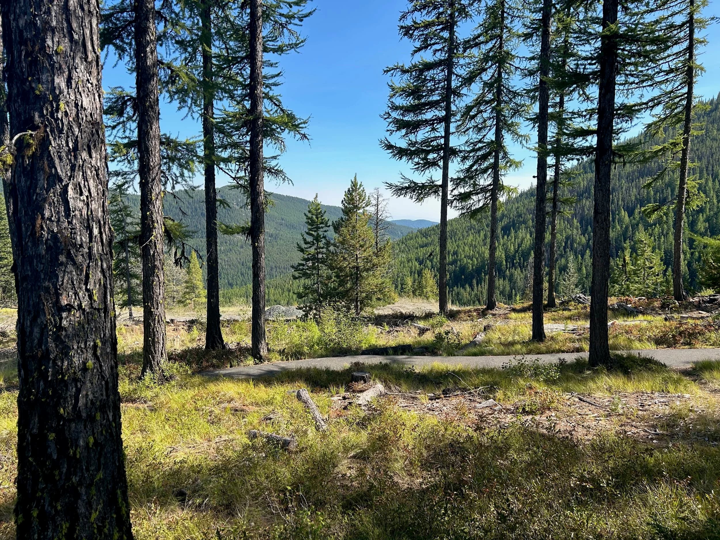 Trip Report: NW National Parks Loop
I left my job recently to take a much needed sabbatical and figure out what I’m doing next. A few weeks after my last day at work I embarked on what was to be a three week tour of NW-ish National Parks from Portland, to include Olympic, North Cascades, Glacier, Yellowstone, Grand Teton, Craters of the Moon, Lassen Volcanic, and Crater Lake.
I ended up missing Grand Tetons due to weather and I had to cut the trip short before I got to Lassen (family medical issue), so Lassen and Crater Lake remain unvisited.
Trip Dates: Sept 3 - Sept 16 (13 days)
Total Travel Miles: 3478 (does not include local miles for store runs, etc.)
Total Gallons of Gas Used: 82
Equipment: 2021 Benelli TRK502X Gaia GPS & Google Maps running on Sonim XP8 rugged Android phoneButler Motorcycle Maps (paper maps of best M/C roads in the country) iPhone 14 (main camera) Akaso Brave 7 helmet-mounted adventure camera Spot X satellite communicator and tracker Wolfman Luggage WP waterproof tank bag and saddle bags (no longer available) Watershed Colorado dry bag duffel (across the pillion seat) Kriega US-5 Drypack (tail bag) Kriega 3L hydration backpack (strapped to duffel, not worn)Marmot Ajax 2 tent Nemo hydrophobic down sleeping bag (non-mummy)Helinox ultralight cot MSR WhisperLite International stove
(Purchased in 1991 for my first moto trip: Detroit, MI to San Diego and back on an XT250)Gossamer Gear Bare Boxer bear-proof food canisters (two - one in each saddle bag)
Day 1 - Olympic National Park Date: Tuesday 9/3/2024
Destination: South Beach Campground, Olympic National Park
Travel Time: 4h 24m
Miles: 213Notes:
Planned to head west to Astoria then north from there, but left later than expected so headed up I-5 to US 12. I’ve driven/ridden that stretch of I-5 hundreds of times (starting in 1993). It’s boring and I hate it.
South Beach CG is first-come-first-served. I didn’t have issue getting a site. There is a long, tight loop of sites along the coastline, but I chose one of the sites further back near the bathrooms due to wind concerns. The bathroom building provided a sort of wind shelter for my site.
I used the heated grips on this leg; it was pretty chilly along the coast in the Olympic Peninsula. I almost didn’t install them, thinking I was being paranoid about the cold. I ended up using them a lot.
Day 2 - Ferry to Seattle / Burien Date: Wednesday 9/4/2024
Destination: Friend’s house in Burien, WA
Travel Time: 7h 30m
Miles: 199
Notes:
Slept well (thanks to Advil PM). I’ve not been sleeping well for more than a year. I’m really hoping to reset my sleep patterns with this trip. A good night’s sleep is one of my great joys and I feel like I’ve been robbed of that pleasure.
Used my Aeropress this morning for the first time ever. I’m hooked.
Headed up along US 101 through Port Angeles and then down to the Southworth ferry terminal near Port Orchard. Ferried across to Fauntleroy, which is just a few miles north my friend’s house in Burien. I’m always surprised at how long it takes to get from the Olympic Peninsula to the east side of Puget Sound (Seattle, etc.). With the ferry crossing (I love ferries) it took seven and a half hours to go 200 miles.
Discovered at my first stop of the day (just up 101 at the Kalaloch Campground, stopped to refill water) that the battery is quite weak and won’t start the bike if you leave the ignition on for even two minutes without the motor running. This would become a theme for the next few days. Fortunately, I have a jumper box and a permanent jump harness wired to the battery so jump starts are a quick operation.
Had a good evening with old friends.
Day 3 - North Cascades via Mountain Loop RoadDate: Thursday 9/5/2024
Destination: Newhalem Campground, North Cascades National Park
Travel Time: 4h 30m
Miles: 146Notes:
Slept well, on the couch. No pills needed.
I realized yesterday that my summer riding gloves (Rev’It Dune) were a size (or two) too small. Rev’It gloves fit really tight and I feel like I can never get it quite right. And yet, I love them. So, I stopped at a Cycle Gear in Bellevue to pick up something summer weight (Dirt 3) that fit better. They’re better, but maybe still one size too small. Such is life.
From Bellevue, I rode north and took the Mountain Loop Hwy then on up north to North Cascades. It was a hot ride. Still summer.
A small section of the Mountain Loop Road is dirt/gravel, which I didn’t realize. No biggie. Was just surprised (clearly I didn’t study my maps closely enough). When riding solo on a bike that weighs over 500 lbs., I tend to avoid planning much off-pavement riding. That’s what my DR-Z is for.
Day 4 - Newport, Washington via Winthrop Date: Friday 9/6/2024
Destination: Golden Spur Motor Inn, Newport, Washington
Travel Time: 8h
Miles: 308
Notes:
Slept just ok, even with Advil PM.
Pretty ride through North Cascades National Park and Colville National Forest. Didn’t do any backroads or hikes. Discovered (new to me) the town of Winthrop. Stopped for coffee at Sheri’s and resupplied on freeze-dried food at Cascades Outdoor Store.
The town of Newport is almost nothing, but, inexplicably, there’s an amazing restaurant (Brownell’s Place). Had dinner and a few ciders. Met and chatted with the owner/chef (she’s great). Listened to some live music. Then back to the motel.
Day 5 - New Battery in Kalispell Date: Saturday 9/7/2024
Destination: West Glacier KOA, West Glacier, MT
Travel Time: 8h 7m
Miles: 293
Notes:
Slept well on motel bed (on sleeping bag, not in the sheets). Another hot one.
Discovered that the water pump seal leaks oil. A quick post in the TRK Facebook group revealed that this is a common problem on this bike, and and easy fix. It’s apparently just a bad o-ring.
Battery has been getting continuously worse, and now requires I jump start the bike about every other start. Google Maps to the rescue: directions to the Batteries Plus in Kalispell, please. They don’t have an Odyssey AGM in the right size; the Duracell will have to do. (It’s been great.)
I set up camp at the West Glacier KOA, which will be my base for a few days. KOAs are their own little world. Very strange. Not really my thing, but the on-site laundry was handy.
After setting up camp I opened a cider and used the iPad to book a vehicle reservation for the next day to ride Going to the Sun Road, which I really wanted to do.
Day 6 - Going to the Sun RoadDate: Sunday 9/8/2024
Destination: Local Ride: West Glacier, Going to the Sun Road, Saint Mary, East Glacier
Travel Time: 5h 35m
Miles: 142Notes:
Quick breakfast and gas up in West Glacier before entering Going to the Sun Road.
Going to the Sun Road was stunning. This was the first point in the trip where I had tingles and was giddy at what I was seeing.
Took a very short hike along Saint Mary Lake. Again, I was beside myself with the beauty.
Lunch at the general store in Kiowa.
The rest of the ride back after East Glacier was meh, but I just kept thinking about how amazing what I’d seen in the morning had been.
Dinner at the KOA. Tacos from a cart (ok / not great, and a very weird guacamole) and a few glasses of wine from another cart. I asked about the guac and it turns out they make it in a food processor. Come on, people.
Day 7 - Ride to BozemanDate: Monday 9/9/2024
Destination: Friend’s house in Bozeman, Montana
Travel Time: ~ 8h (Gaia crashed near the end of the trip, but before getting to Bozeman)
Miles: ~ 400Notes:
Slept poorly again. No pills this time. Took some photos of my soft luggage setup to answer some questions in the TRK502X Facebook group. The saddle bags are from Wolfman Luggage, but I don’t think they make this waterproof line anymore. I use a duffel dry bag from Watershed across the top. A heat shield protects the side bag from exhaust heat.
Hazy, smoky ride most of the way. Very windy in places. This is where I first really started to feel how underpowered the TRK502 is. Really struggled in places.
Developed an engine-speed-sensitive squeak or rattle. Sounds like when a heat shield vibrates in resonance with engine vibration. Discovered that it’s a missing crash bar mounting bolt allowing the crash bar to rub against the frame.
Also noticed that there’s a resonant oscillation at speed that feels like the chain going bad (like it’s stretching unevenly).
First of several nights at a friend’s house in Bozeman (which, it turns out, is a pretty cool town). And there’s a hot tub…
Day 8 - Bike Maintenance & Hyalite ReservoirDate: Tuesday 9/10/2024
Destination: Local Ride: Hyalite Reservoir
Travel Time: not recorded
Miles: not recordedNotes:
Woke up to a smoky sunrise. I had the best night’s sleep I’ve had in years. This is was the whole point of this trip: to untangle my burnout and reclaim sleep as one of my joys. I wrote about it in my journal when I woke up. I hope this wasn’t a fluke.
Planned to replace the bolt that rattled loose from the crash bar, but instead discovered that it had actually severed off at the mount point. No fixing that on the road. Adjusted chain and moved on.
Lunch at Mountains Walking Brewery in Bozeman.
Rode up to Hyalite Reservoir. Pretty ride. Smoky still.
Soaked in hot tub after dinner.
Day 9 - North Yellowstone LoopDate: Wednesday 9/11/2024
Destination: Northern loop through Yellowstone National Park
Travel Time: 9h 36m
Miles: 272Notes:
Did a day trip from Bozeman down through the northern loop in Yellowstone, entering at Mammoth and taking the scenic route through Paradise Valley.
Saw elk, coyotes (I think), buffalo, and pronghorn.
Pretty ride, but cold in places. Used heated grips again.
Rode the loop through Mammoth Hot Springs (see video) at the end.
Coffee at Tumbleweed Bookstore & Cafe in Gardiner. I kind of dig Gardiner. Good vibe.
Had dinner at Mountains Walking Brewing. Rain and wind started. Lights flickered. Waited for rain to stop before riding back to the house.
Power out at the house due to high winds. This does not bode well for tomorrow.
Day 10 - Winter Weather in the ParksDate: Thursday 9/12/2024
Destination: Grand Teton National Park via West Yellowstone Pocatello, Idaho
Travel Time: 5h 40m
Miles: 201Notes:
Today was supposed to be a gorgeous ride through Yellowstone into Grand Teton National Park, and camping at Signal Mountain CG in the park. The weather had other ideas. It was pouring rain (and cold) all the way to West Yellowstone from Bozeman. By the time I got to West Yellowstone I was getting severe winter weather warnings on my phone calling for up to 3 (three!!) inches of snow accumulating in the high passes in the park. It’s bad enough in a car, but that’s a disaster waiting to happen on a motorcycle.
I parked my butt at Mountain Mama’s Cafe in West Yellowstone to warm up / dry off and decide what to do. I almost had myself convinced to push through when I realized that, even if I made it to the campground ok, I’d be setting up camp in the rain and I’d likely be miserable all night. Grand Teton would have to wait.
From West Yellowstone it’s easy to bail west into Idaho and get away from the park weather and elevations. So that’s what I did. It was not a pleasant ride, though. I was in torrential downpours all the way to Idaho Falls.
Arriving in Idaho Falls, I was exhausted and sure I could just find a room for the night. I dropped the bike at a roundabout (short-legged it coming to a stop; I knew it was going so I just rolled away). Guy behind me helped me pick it up. Then, there were no rooms because it was move in week for the two universities there (U of I, ISU). This would become a recurring theme.
I rode further to Blackfoot. Still no rooms.
I called ahead to Pocatello and got a room at a Red Lion there. I was never so happy to be off the bike.
No pictures this day. I couldn’t even get the action camera to turn on.
Day 11 - Craters of the Moon and EBR-1Date: Friday 9/13/2024
Destination: Craters of the Moon National Monument
Travel Time: 4h 20m
Miles: 124
Notes:
I wasn’t sure what my destination would be today but my plan was to do a little nuclear tourism, see Craters of the Moon, and then go somewhere from there. My schedule and day-plan was thrown off by missing Grand Teton National Park and spending a night in Pocatello, which was not on the itinerary at all.
Stopped in Atomic City. Not sure why; I was under the impression that Atomic City was the first city lit by nuclear engergy, but it was practically a ghost town. There are a few houses there, but as far as I could tell all of the business were shuttered. Except, maybe, for the race track; that looked like it might still get used.
Arco, it turns out, is the city celebrated as the first in the world to be lit by nuclear energy. Nothing special about the town, but they do a nice job of making City Hall photo-worthy.
Between Atomic City and Arco is EBR-1 (Experimental Breeder Reactor I) which was the world’s first breeder reactor. The EBR-1 exhibit was closed for the season, but in the lot next to it were some really interesting experimental nuclear heat-transfer jet engines that never made it out of the experimental phase (probably a good thing).
Craters of the Moon is pretty small. If you don’t do any of the walks, it’s literally just a 30 minute road loop. Still, it was an unexpected surprise and delight. I had no idea what to expect but I was positively chuffed at the experience. I noticed that the campground had open sites so I inquired at the entry booth. As luck would have it, the whole campground is first come / first serve. I decided to set up for the night. It’s good to be done early and have some time to read and not stress about making distance.
Day 12 - New Chain in Twin FallsDate: Saturday 9/14/2024
Destination: Battle Mountain, Nevada
Travel Time: 8h 52m
Miles: 335
Notes:
Beautiful morning in Craters of the Moon. While I was breaking camp a parade of classic cars came into the park to drive the loop. I got a picture of one Pontiac down the road in Carey at a gas station.
Carey ended up being an unplanned fork in the road for me. I discovered this morning that my chain was indeed stretching unevenly, and the oscillation I was feeling and hearing was the chain hum changing from a “loose” hum to a “tight” hum rapidly as the tight spot moved around the sprockets. I was supposed to continue west to Mountain Home and then south from there into Nevada. A very scenic route, according to my Butler map. But, between camp and the gas station I got pretty paranoid about the chain snapping at high speed, which, worst case, could lead to a fatal crash.
So I called ahead to a few motorcycle dealers in Mountain Home (on my planned route) to see if they could take me in and replace the chain. No dice. This is the downside of having an obscure motorcycle from an obscure marque - no one wants to work on it. Making matters worse this is an Italian-designed bike built in China, a fact which causes many people to lose the ability to think clearly. “It’s Chinese junk!” Not so. Next.
With Mountain Home out, I tried Twin Falls. My first call was to Adventure Motorsports, and the service manager there took me in with no hesitation. “How soon can you be here?” I didn’t get his name, but my hat’s off to him and his one tech working furiously on a Saturday to beat the 3pm closing time. He said during high season, they get about 15-20 out of town travelers per week who need something done, and they take them all in. I love to hear stuff like this. This shop is in it for the community. They have a nice showroom, too.
With a quality new chain installed, I got a burrito and a MexiCoke at a Mexican place and went on my way. I made it to Battle Mountain, NV, where I decide to get a room. Tomorrow I rejoin my planned scenic route. Day 13 - Desert Mountains in NV, CADate: Sunday 9/15/2024
Destination: Grizzly Campground, Lake Davis (near Portola, CA)
Travel Time: 7h
Miles: 307
Notes:
I love the northern Nevada landscape, and today’s ride didn’t disappoint. US Highway 50 is apparently known as “The Loneliest Highway” but everyone knows about it, so it’s not very lonely. However, after leaving Austin, NV headed west you can take Nevada Highway 722, which dips to the south and follows the old US 50 route. It was completely empty and the twisties through the passes were fun. Highly recommended.
Stopped in Fallon for gas and to find a Micro SD card for the action camera. Walmart to the rescue.
After Reno, I crossed into California and, I swear, it looks different. Norther California desert mountains are so beautiful.
Camped at a nearly empty campground on Lake Davis (very end of the season). The host warned me rain was coming tomorrow.
Day 14 - Unplanned Return HomeDate: Monday 9/16/2024
Destination: Summit Lake Campground, Lassen Volcanic National Park Portland, Oregon (Home)
Travel Time: 10h 32m
Miles: 538Notes:
Last week, my mom went into the hospital for a fairly routine procedure. My brother went to Michigan to help out, as needed, and he went back home to Arizona after she returned home and everything seemed settled.
This morning, while having coffee, I got a call that she’d gone back into the hospital with something that may or may not have been related to the procedure. It seemed like maybe things were ok, but maybe not.
I decided the best thing to do was head home so that I was near an airport if I needed to fly out to Michigan to help out.
I packed up camp and headed up US 395 toward home, via Klamath Falls. It was a pretty ride, but, once again, I found myself in rain most of the way to Klamath Falls.
I was pretty beat by the time I got to Klamath Falls and figured I’d just find a hotel room, get a hot shower, and finish the ride tomorrow.
But, once again, it was move-in week for the local university. Holiday Inn Express had a single room for $395. No thanks. Onward.
I never hit rain again after Klamath Falls, and after turning west onto Oregon Hwy 58 and starting to lose elevation into the Willamette Valley, the temperature starting rising, which was welcome.
Once I reached Eugene, there was no point in not just going all the way home, so that’s what I did.
I got two pictures: one at camp before the call, and one at my last gas stop, an hour and twenty minutes from home, with the moon rising.
A nice side effect of my early return home is that I was home for my birthday (tomorrow), so I had dinner with my kids and my wife, which was lovely.
I did end up flying to Michigan the next day, and was there for a bit. The best part? I got to make some meals for my mom and step dad. Everything seems ok with my mom for now.
Grand Teton, Lassen, and Crater Lake will be there, and now I have an excuse for another trip in the future.