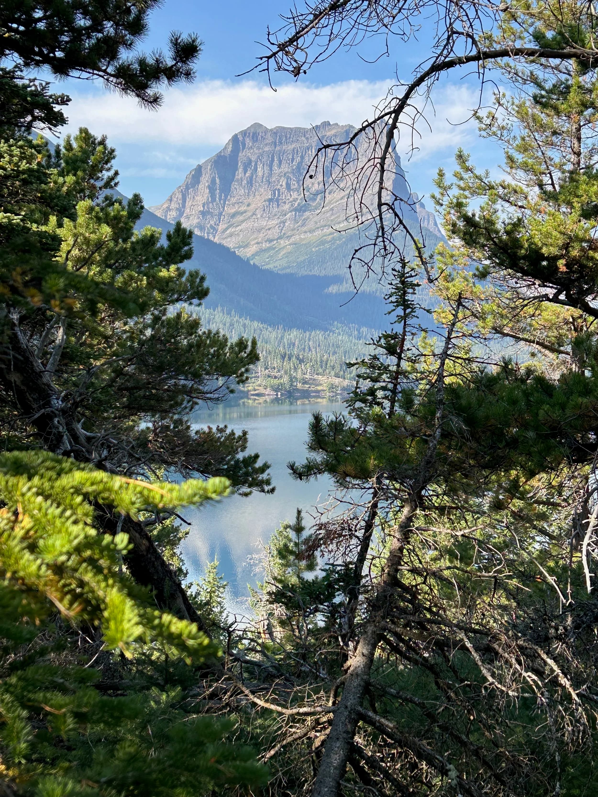 Trip Report: NW National Parks Loop
I left my job recently to take a much needed sabbatical and figure out what I’m doing next. A few weeks after my last day at work I embarked on what was to be a three week tour of NW-ish National Parks from Portland, to include Olympic, North Cascades, Glacier, Yellowstone, Grand Teton, Craters of the Moon, Lassen Volcanic, and Crater Lake.
I ended up missing Grand Tetons due to weather and I had to cut the trip short before I got to Lassen (family medical issue), so Lassen and Crater Lake remain unvisited.
Trip Dates: Sept 3 - Sept 16 (13 days)
Total Travel Miles: 3478 (does not include local miles for store runs, etc.)
Total Gallons of Gas Used: 82
Equipment: 2021 Benelli TRK502X Gaia GPS & Google Maps running on Sonim XP8 rugged Android phoneButler Motorcycle Maps (paper maps of best M/C roads in the country) iPhone 14 (main camera) Akaso Brave 7 helmet-mounted adventure camera Spot X satellite communicator and tracker Wolfman Luggage WP waterproof tank bag and saddle bags (no longer available) Watershed Colorado dry bag duffel (across the pillion seat) Kriega US-5 Drypack (tail bag) Kriega 3L hydration backpack (strapped to duffel, not worn)Marmot Ajax 2 tent Nemo hydrophobic down sleeping bag (non-mummy)Helinox ultralight cot MSR WhisperLite International stove
(Purchased in 1991 for my first moto trip: Detroit, MI to San Diego and back on an XT250)Gossamer Gear Bare Boxer bear-proof food canisters (two - one in each saddle bag)
Day 1 - Olympic National Park Date: Tuesday 9/3/2024
Destination: South Beach Campground, Olympic National Park
Travel Time: 4h 24m
Miles: 213Notes:
Planned to head west to Astoria then north from there, but left later than expected so headed up I-5 to US 12. I’ve driven/ridden that stretch of I-5 hundreds of times (starting in 1993). It’s boring and I hate it.
South Beach CG is first-come-first-served. I didn’t have issue getting a site. There is a long, tight loop of sites along the coastline, but I chose one of the sites further back near the bathrooms due to wind concerns. The bathroom building provided a sort of wind shelter for my site.
I used the heated grips on this leg; it was pretty chilly along the coast in the Olympic Peninsula. I almost didn’t install them, thinking I was being paranoid about the cold. I ended up using them a lot.
Day 2 - Ferry to Seattle / Burien Date: Wednesday 9/4/2024
Destination: Friend’s house in Burien, WA
Travel Time: 7h 30m
Miles: 199
Notes:
Slept well (thanks to Advil PM). I’ve not been sleeping well for more than a year. I’m really hoping to reset my sleep patterns with this trip. A good night’s sleep is one of my great joys and I feel like I’ve been robbed of that pleasure.
Used my Aeropress this morning for the first time ever. I’m hooked.
Headed up along US 101 through Port Angeles and then down to the Southworth ferry terminal near Port Orchard. Ferried across to Fauntleroy, which is just a few miles north my friend’s house in Burien. I’m always surprised at how long it takes to get from the Olympic Peninsula to the east side of Puget Sound (Seattle, etc.). With the ferry crossing (I love ferries) it took seven and a half hours to go 200 miles.
Discovered at my first stop of the day (just up 101 at the Kalaloch Campground, stopped to refill water) that the battery is quite weak and won’t start the bike if you leave the ignition on for even two minutes without the motor running. This would become a theme for the next few days. Fortunately, I have a jumper box and a permanent jump harness wired to the battery so jump starts are a quick operation.
Had a good evening with old friends.
Day 3 - North Cascades via Mountain Loop RoadDate: Thursday 9/5/2024
Destination: Newhalem Campground, North Cascades National Park
Travel Time: 4h 30m
Miles: 146Notes:
Slept well, on the couch. No pills needed.
I realized yesterday that my summer riding gloves (Rev’It Dune) were a size (or two) too small. Rev’It gloves fit really tight and I feel like I can never get it quite right. And yet, I love them. So, I stopped at a Cycle Gear in Bellevue to pick up something summer weight (Dirt 3) that fit better. They’re better, but maybe still one size too small. Such is life.
From Bellevue, I rode north and took the Mountain Loop Hwy then on up north to North Cascades. It was a hot ride. Still summer.
A small section of the Mountain Loop Road is dirt/gravel, which I didn’t realize. No biggie. Was just surprised (clearly I didn’t study my maps closely enough). When riding solo on a bike that weighs over 500 lbs., I tend to avoid planning much off-pavement riding. That’s what my DR-Z is for.
Day 4 - Newport, Washington via Winthrop Date: Friday 9/6/2024
Destination: Golden Spur Motor Inn, Newport, Washington
Travel Time: 8h
Miles: 308
Notes:
Slept just ok, even with Advil PM.
Pretty ride through North Cascades National Park and Colville National Forest. Didn’t do any backroads or hikes. Discovered (new to me) the town of Winthrop. Stopped for coffee at Sheri’s and resupplied on freeze-dried food at Cascades Outdoor Store.
The town of Newport is almost nothing, but, inexplicably, there’s an amazing restaurant (Brownell’s Place). Had dinner and a few ciders. Met and chatted with the owner/chef (she’s great). Listened to some live music. Then back to the motel.
Day 5 - New Battery in Kalispell Date: Saturday 9/7/2024
Destination: West Glacier KOA, West Glacier, MT
Travel Time: 8h 7m
Miles: 293
Notes:
Slept well on motel bed (on sleeping bag, not in the sheets). Another hot one.
Discovered that the water pump seal leaks oil. A quick post in the TRK Facebook group revealed that this is a common problem on this bike, and and easy fix. It’s apparently just a bad o-ring.
Battery has been getting continuously worse, and now requires I jump start the bike about every other start. Google Maps to the rescue: directions to the Batteries Plus in Kalispell, please. They don’t have an Odyssey AGM in the right size; the Duracell will have to do. (It’s been great.)
I set up camp at the West Glacier KOA, which will be my base for a few days. KOAs are their own little world. Very strange. Not really my thing, but the on-site laundry was handy.
After setting up camp I opened a cider and used the iPad to book a vehicle reservation for the next day to ride Going to the Sun Road, which I really wanted to do.
Day 6 - Going to the Sun RoadDate: Sunday 9/8/2024
Destination: Local Ride: West Glacier, Going to the Sun Road, Saint Mary, East Glacier
Travel Time: 5h 35m
Miles: 142Notes:
Quick breakfast and gas up in West Glacier before entering Going to the Sun Road.
Going to the Sun Road was stunning. This was the first point in the trip where I had tingles and was giddy at what I was seeing.
Took a very short hike along Saint Mary Lake. Again, I was beside myself with the beauty.
Lunch at the general store in Kiowa.
The rest of the ride back after East Glacier was meh, but I just kept thinking about how amazing what I’d seen in the morning had been.
Dinner at the KOA. Tacos from a cart (ok / not great, and a very weird guacamole) and a few glasses of wine from another cart. I asked about the guac and it turns out they make it in a food processor. Come on, people.
Day 7 - Ride to BozemanDate: Monday 9/9/2024
Destination: Friend’s house in Bozeman, Montana
Travel Time: ~ 8h (Gaia crashed near the end of the trip, but before getting to Bozeman)
Miles: ~ 400Notes:
Slept poorly again. No pills this time. Took some photos of my soft luggage setup to answer some questions in the TRK502X Facebook group. The saddle bags are from Wolfman Luggage, but I don’t think they make this waterproof line anymore. I use a duffel dry bag from Watershed across the top. A heat shield protects the side bag from exhaust heat.
Hazy, smoky ride most of the way. Very windy in places. This is where I first really started to feel how underpowered the TRK502 is. Really struggled in places.
Developed an engine-speed-sensitive squeak or rattle. Sounds like when a heat shield vibrates in resonance with engine vibration. Discovered that it’s a missing crash bar mounting bolt allowing the crash bar to rub against the frame.
Also noticed that there’s a resonant oscillation at speed that feels like the chain going bad (like it’s stretching unevenly).
First of several nights at a friend’s house in Bozeman (which, it turns out, is a pretty cool town). And there’s a hot tub…
Day 8 - Bike Maintenance & Hyalite ReservoirDate: Tuesday 9/10/2024
Destination: Local Ride: Hyalite Reservoir
Travel Time: not recorded
Miles: not recordedNotes:
Woke up to a smoky sunrise. I had the best night’s sleep I’ve had in years. This is was the whole point of this trip: to untangle my burnout and reclaim sleep as one of my joys. I wrote about it in my journal when I woke up. I hope this wasn’t a fluke.
Planned to replace the bolt that rattled loose from the crash bar, but instead discovered that it had actually severed off at the mount point. No fixing that on the road. Adjusted chain and moved on.
Lunch at Mountains Walking Brewery in Bozeman.
Rode up to Hyalite Reservoir. Pretty ride. Smoky still.
Soaked in hot tub after dinner.
Day 9 - North Yellowstone LoopDate: Wednesday 9/11/2024
Destination: Northern loop through Yellowstone National Park
Travel Time: 9h 36m
Miles: 272Notes:
Did a day trip from Bozeman down through the northern loop in Yellowstone, entering at Mammoth and taking the scenic route through Paradise Valley.
Saw elk, coyotes (I think), buffalo, and pronghorn.
Pretty ride, but cold in places. Used heated grips again.
Rode the loop through Mammoth Hot Springs (see video) at the end.
Coffee at Tumbleweed Bookstore & Cafe in Gardiner. I kind of dig Gardiner. Good vibe.
Had dinner at Mountains Walking Brewing. Rain and wind started. Lights flickered. Waited for rain to stop before riding back to the house.
Power out at the house due to high winds. This does not bode well for tomorrow.
Day 10 - Winter Weather in the ParksDate: Thursday 9/12/2024
Destination: Grand Teton National Park via West Yellowstone Pocatello, Idaho
Travel Time: 5h 40m
Miles: 201Notes:
Today was supposed to be a gorgeous ride through Yellowstone into Grand Teton National Park, and camping at Signal Mountain CG in the park. The weather had other ideas. It was pouring rain (and cold) all the way to West Yellowstone from Bozeman. By the time I got to West Yellowstone I was getting severe winter weather warnings on my phone calling for up to 3 (three!!) inches of snow accumulating in the high passes in the park. It’s bad enough in a car, but that’s a disaster waiting to happen on a motorcycle.
I parked my butt at Mountain Mama’s Cafe in West Yellowstone to warm up / dry off and decide what to do. I almost had myself convinced to push through when I realized that, even if I made it to the campground ok, I’d be setting up camp in the rain and I’d likely be miserable all night. Grand Teton would have to wait.
From West Yellowstone it’s easy to bail west into Idaho and get away from the park weather and elevations. So that’s what I did. It was not a pleasant ride, though. I was in torrential downpours all the way to Idaho Falls.
Arriving in Idaho Falls, I was exhausted and sure I could just find a room for the night. I dropped the bike at a roundabout (short-legged it coming to a stop; I knew it was going so I just rolled away). Guy behind me helped me pick it up. Then, there were no rooms because it was move in week for the two universities there (U of I, ISU). This would become a recurring theme.
I rode further to Blackfoot. Still no rooms.
I called ahead to Pocatello and got a room at a Red Lion there. I was never so happy to be off the bike.
No pictures this day. I couldn’t even get the action camera to turn on.
Day 11 - Craters of the Moon and EBR-1Date: Friday 9/13/2024
Destination: Craters of the Moon National Monument
Travel Time: 4h 20m
Miles: 124
Notes:
I wasn’t sure what my destination would be today but my plan was to do a little nuclear tourism, see Craters of the Moon, and then go somewhere from there. My schedule and day-plan was thrown off by missing Grand Teton National Park and spending a night in Pocatello, which was not on the itinerary at all.
Stopped in Atomic City. Not sure why; I was under the impression that Atomic City was the first city lit by nuclear engergy, but it was practically a ghost town. There are a few houses there, but as far as I could tell all of the business were shuttered. Except, maybe, for the race track; that looked like it might still get used.
Arco, it turns out, is the city celebrated as the first in the world to be lit by nuclear energy. Nothing special about the town, but they do a nice job of making City Hall photo-worthy.
Between Atomic City and Arco is EBR-1 (Experimental Breeder Reactor I) which was the world’s first breeder reactor. The EBR-1 exhibit was closed for the season, but in the lot next to it were some really interesting experimental nuclear heat-transfer jet engines that never made it out of the experimental phase (probably a good thing).
Craters of the Moon is pretty small. If you don’t do any of the walks, it’s literally just a 30 minute road loop. Still, it was an unexpected surprise and delight. I had no idea what to expect but I was positively chuffed at the experience. I noticed that the campground had open sites so I inquired at the entry booth. As luck would have it, the whole campground is first come / first serve. I decided to set up for the night. It’s good to be done early and have some time to read and not stress about making distance.
Day 12 - New Chain in Twin FallsDate: Saturday 9/14/2024
Destination: Battle Mountain, Nevada
Travel Time: 8h 52m
Miles: 335
Notes:
Beautiful morning in Craters of the Moon. While I was breaking camp a parade of classic cars came into the park to drive the loop. I got a picture of one Pontiac down the road in Carey at a gas station.
Carey ended up being an unplanned fork in the road for me. I discovered this morning that my chain was indeed stretching unevenly, and the oscillation I was feeling and hearing was the chain hum changing from a “loose” hum to a “tight” hum rapidly as the tight spot moved around the sprockets. I was supposed to continue west to Mountain Home and then south from there into Nevada. A very scenic route, according to my Butler map. But, between camp and the gas station I got pretty paranoid about the chain snapping at high speed, which, worst case, could lead to a fatal crash.
So I called ahead to a few motorcycle dealers in Mountain Home (on my planned route) to see if they could take me in and replace the chain. No dice. This is the downside of having an obscure motorcycle from an obscure marque - no one wants to work on it. Making matters worse this is an Italian-designed bike built in China, a fact which causes many people to lose the ability to think clearly. “It’s Chinese junk!” Not so. Next.
With Mountain Home out, I tried Twin Falls. My first call was to Adventure Motorsports, and the service manager there took me in with no hesitation. “How soon can you be here?” I didn’t get his name, but my hat’s off to him and his one tech working furiously on a Saturday to beat the 3pm closing time. He said during high season, they get about 15-20 out of town travelers per week who need something done, and they take them all in. I love to hear stuff like this. This shop is in it for the community. They have a nice showroom, too.
With a quality new chain installed, I got a burrito and a MexiCoke at a Mexican place and went on my way. I made it to Battle Mountain, NV, where I decide to get a room. Tomorrow I rejoin my planned scenic route. Day 13 - Desert Mountains in NV, CADate: Sunday 9/15/2024
Destination: Grizzly Campground, Lake Davis (near Portola, CA)
Travel Time: 7h
Miles: 307
Notes:
I love the northern Nevada landscape, and today’s ride didn’t disappoint. US Highway 50 is apparently known as “The Loneliest Highway” but everyone knows about it, so it’s not very lonely. However, after leaving Austin, NV headed west you can take Nevada Highway 722, which dips to the south and follows the old US 50 route. It was completely empty and the twisties through the passes were fun. Highly recommended.
Stopped in Fallon for gas and to find a Micro SD card for the action camera. Walmart to the rescue.
After Reno, I crossed into California and, I swear, it looks different. Norther California desert mountains are so beautiful.
Camped at a nearly empty campground on Lake Davis (very end of the season). The host warned me rain was coming tomorrow.
Day 14 - Unplanned Return HomeDate: Monday 9/16/2024
Destination: Summit Lake Campground, Lassen Volcanic National Park Portland, Oregon (Home)
Travel Time: 10h 32m
Miles: 538Notes:
Last week, my mom went into the hospital for a fairly routine procedure. My brother went to Michigan to help out, as needed, and he went back home to Arizona after she returned home and everything seemed settled.
This morning, while having coffee, I got a call that she’d gone back into the hospital with something that may or may not have been related to the procedure. It seemed like maybe things were ok, but maybe not.
I decided the best thing to do was head home so that I was near an airport if I needed to fly out to Michigan to help out.
I packed up camp and headed up US 395 toward home, via Klamath Falls. It was a pretty ride, but, once again, I found myself in rain most of the way to Klamath Falls.
I was pretty beat by the time I got to Klamath Falls and figured I’d just find a hotel room, get a hot shower, and finish the ride tomorrow.
But, once again, it was move-in week for the local university. Holiday Inn Express had a single room for $395. No thanks. Onward.
I never hit rain again after Klamath Falls, and after turning west onto Oregon Hwy 58 and starting to lose elevation into the Willamette Valley, the temperature starting rising, which was welcome.
Once I reached Eugene, there was no point in not just going all the way home, so that’s what I did.
I got two pictures: one at camp before the call, and one at my last gas stop, an hour and twenty minutes from home, with the moon rising.
A nice side effect of my early return home is that I was home for my birthday (tomorrow), so I had dinner with my kids and my wife, which was lovely.
I did end up flying to Michigan the next day, and was there for a bit. The best part? I got to make some meals for my mom and step dad. Everything seems ok with my mom for now.
Grand Teton, Lassen, and Crater Lake will be there, and now I have an excuse for another trip in the future.