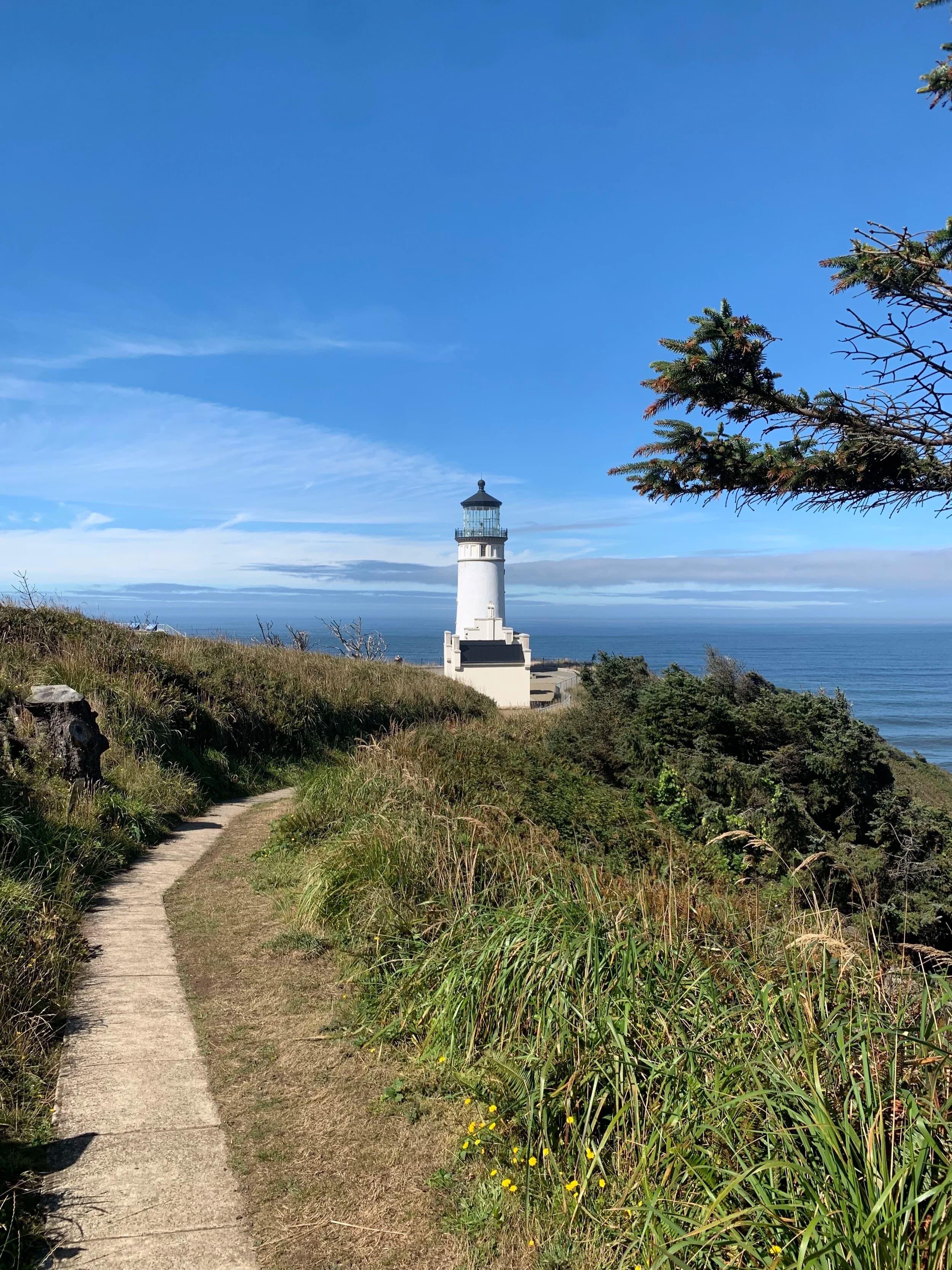 Trip Report: Portland to Olympic Peninsula to Orcas Island
If you follow me on Instagram, you know I purchased a 2021 Benelli TRK502X in July. I just completed my first overnight trip with the new Benelli, doing 7 nights / 8 days from Portland, up the Olympic Peninsula, over to Bellingham and then finally to Orcas Island.
The plan was to camp most or all nights until my last two nights on Orcas, where I had a small waterfront cottage rented right in Orcas Village, where the ferry lands. After three nights of camping, however, I realized I can’t really do the “thin air pad on the ground” thing anymore (I’d be 50 in a week, after all!). My back was killing me and I was not sleeping well, making the following day’s ride less enjoyable at best, and probably also less safe.
So, instead of 5 nights of camping, I did three and then found a cheap motel in Port Angeles, figuring I’d camp the next night and then do my two nights in the cottage. As it happened, most of the next day was rain and the forecast was rain all night and into the morning, so I ended up in a hotel in Bellingham to avoid setting up and breaking down camp in the rain. I can do it. Have done it. But if money is no object and there is lodging available, why be miserable?
The route I planned was intended to get me familiar with the TRK’s manners while allowing for the fact that I’d be riding solo and really didn’t want to get into trouble that I couldn’t get myself out of. The 502X, despite being a 500cc bike, is not light. Curb weight is listed as 518 lbs (dry is 470). So, I favored two lane highways, but included some backcountry single lane roads that were a mix of pavement and gravel.
Here’s my trip report. Day 1Planned / Actual Destination: Cape Disappointment State Park
Planned / Actual Accommodation: Camping
Planned / Actual Miles: 201 / 212
Planned Route: Tigard to Seaside via the Nestucca River Backcountry Byway; Seaside to Cape Disappointment via US 101.
Route NotesI let Google guide me to Carlton from Tigard (home base). On Gaia GPS, I had planned a route that followed the Nestucca River Backcountry Byway from Carlton to Beaver. Unfortunately, there was a detour after McGuire Reservoir (the body of water at the left edge of the right third of the map above) that took me well south down to Bell Mountain along Bald Mountain Rd before heading back north again and rejoining the Nestucca River Rd near Thune Mouintain. Basically, I missed at least half of the scenic route I was hoping for. I wasn’t sure how far the closure went on Nestucca River Rd, and I was still getting the hang of using Gaia to both see where I was, and plan where I wanted to go…so I just followed the signs for the detour. The detour was nice, but it wasn’t the Nestucca River . Most of the route was paved single lane forest road, with a small section of gravel thrown in before the detour.
Once to Beaver, I just rode south on 101 until I saw the signs for Pacific City. Lunch at Pelican Brewery. (I’m not a fan of their new orange grate picnic table outdoor seating.)
After lunch, I rode straight up 101 through Astoria and across to Ilwaco, where I had a reservation to camp at Cape Disappointment. Great spot, right up against the beach (with some trees and brush to break the wind). Camp NotesCape Disappointment was filled mostly with campers pulled by pickup trucks, and my site was nestled between two of them. Most people were friendly. The guy on the north side came over right away to ask about the bike. He’d never seen or heard of Benelli. The guy on the south side came over several times. It’s like he kept looking for excuses to come over and talk more. He even offered me dinner (red beans and rice, with sausage). I accepted. The next morning, he came over with pictures of places I should see in Olympic National Park. The wife of the guy on the north side came over just before I departed for the day’s travels. “Looks like a lot of fun. Nice bike. Reminds me of when we used to backpack. Now we have this thing,” (she gestured to her trailer).
The site itself was great. It was wooded, and sheltered from the beach winds with a thin band of trees and brush, plus a wall of driftwood you had to navigate through and over to get to the beach. The beach itself was gorgeous. Gear NotesI’d read that my trusty MSR Whisperlite Internationale (purchased in 1991) can run on unleaded gasoline just as easily as white gas. Since this kind of moto touring is about going as light and simply as possible, I figured I’d just run unleaded gas instead of bringing white gas. This way, I’d have 1.5 liters of spare gas plus whatever was in my stove bottle in the event that I ran out of gas on the road. Seemed like a great idea.
The reality, as I found out, is that gasoline burns very dirty compared to white gas. It lit, no problem, but the stove was left covered in black soot after a single burn and everything ends up smelling like gasoline. I never realized how much I’d want to smell white gas. So, next trip I’ll ditch the gasoline and go back to white gas.
Also, I threw out my deodorant and body soap before bed. Because I’m using soft bags (not hard aluminum cases) all of my food, toothpaste, and other smelly items need to fit into a small bear canister that fits inside one of my soft bags (keeps rodents out, even if there are no bears). To save space, the stove needs to fit in the bear canister, too. The deodorant and soap simply didn’t fit. So, off they went. Besides, I use Dr. Bronner’s as my dish soap. If I found a shower, I could use that.
Day 2Planned / Actual Destination: South Beach Campground
Planned / Actual Accommodation: Camping
Planned / Actual Miles: 231 / 219
Planned Route: Cape Disappointment up around the Long Beach Peninsula, to South Beach Campground via Raymond, Grayland, Aberdeen, Moclips, Lake Quinault (I skipped the loop around the Long Beach Peninsula)Route NotesToday was a very nice ride. Two lane highway all the way, with a good chunk of it along the coast. I had planned to do a loop up the Long Beach Peninsula, but decided to skip it to save time after spending some time in the morning exploring Cape Disappointment State Park. My destination, South Beach Campground, is first come / first serve and I wasn’t sure how busy it would be, so I didn’t want to arrive too late.
Finding lunch turned out to be a problem. I was avoiding sketchy looking places because the mask wearing seemed to be a problem. I wasn’t looking for conflict. Along the way I discovered the town of Seabrook, which appears to be a vacation shopping mall built specifically to separate you both from reality and your money. Not my kind of place, though I did look to see if there was a place I could eat. Everything looked too fancy for me to roll up in my full moto suit and boots. Where’s a good taco truck when you need one?
I ended up eating in a gas station convenience store (You and I Market) parking lot in Pacific Beach, just up the road from Seabrook with a bunch of day laborers picking up their afternoon tallboys. Gear NotesFor day two, I used Gaia GPS’s route planning feature to set my path to South Beach. It’s quite easy once you figure out the combination of gestures and long-presses (I needed a YouTube video). One caveat is that you either need a data connection (Wi-Fi or mobile data) to be able to do it (if you want the route to snap to a road or trail, which is quite handy), or you need to have downloaded all the map areas and route planning data ahead of time. Ordinarily, this wouldn’t be a problem, but I had brought along two phones: my iPhone (which is my regular phone) for pictures and communication (it would ride in my chest pocket); and Goggle Pixel 3 I’d purchased to use only for navigation (it would be mounted to the handlebars). I don’t have data for the Pixel.
This turned out to be a problem because I hadn’t downloaded all the map areas and route planning data for my trip onto the Pixel (whereas I had downloaded it all to the iPhone). So, I switched to navigating (still with Gaia GPS) on my iPhone and taking pictures with the Pixel for this leg of the trip, hoping I’d get good Wi-Fi at some point which would allow me to download the data I needed onto the Pixel so I could switch back.
This single day of using the iPhone as my navigation device fried the camera. Two days later, Apple published this.
I still really like having two phones on a trip. (I also have a Spot X satellite communicator for off-grid communication.) It’s nice to have one in the pocket that can come out for a quick picture. It’s also nice to have an emergency backup. It would be nice to have a data plan for the nav phone. Short of that, I just need to be better about downloading map areas and routing data ahead of time (and not using my iPhone for nav). Camp NotesSouth Beach Campground is right on the water, and it’s first-come, first-served. The weather was good, and I felt lucky to get a spot. There were several spots available as it turned out. As I was riding around trying to choose which spot to take, there was a couple with a pickup camper waving me in next to them. This was a first. “We ride!” they exclaimed. So that’s where I set up camp.
The guy’s name was Steve Miller. He sells CBD products online. Seems on brand. They were an amazingly friendly couple, actually. Both ride BMW’s and Steve, especially, was really curious and enthusiastic about the TRK. The bike was really turning out to be a conversation starter. He came over several different times while I was setting up camp and making dinner to ask questions or share info about riding groups he’s a part of. It was really quite welcome.
In the morning they gifted me some carrot zucchini bread for breakfast and then broke camp and pulled out well before I did.