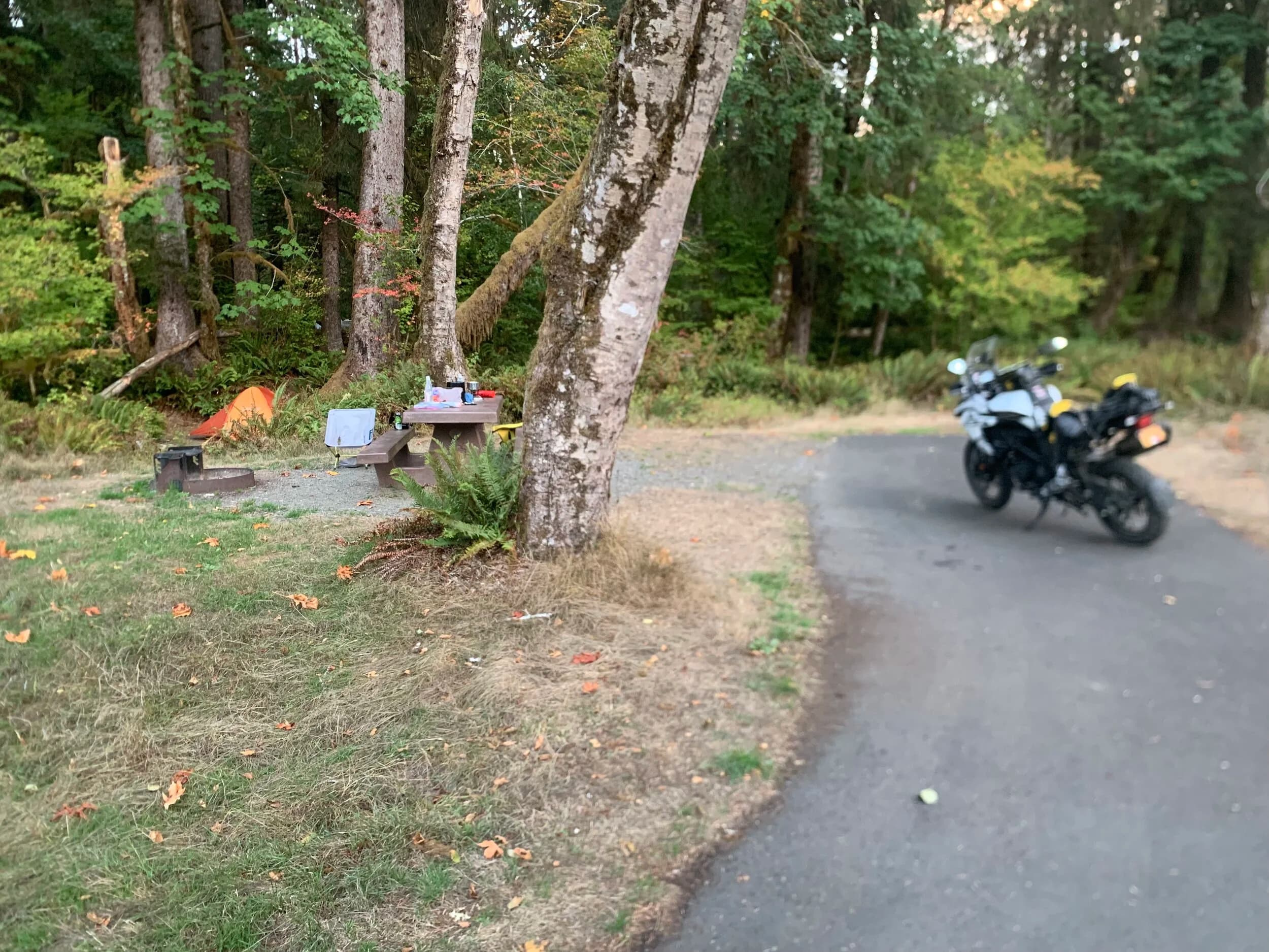 South Beach to Hoh Rainforest
This is the second installment of my trip log of my first overnight trip with the new Benelli TRK502X, doing 7 nights / 8 days from Portland, up the Olympic Peninsula, over to Bellingham and then finally to Orcas Island.
Day 3Planned Destination: Forks or La Push
Actual Destination: Hoh Rainforest Campground
Planned / Actual Accommodation: Camping
Planned / Actual Miles: 100 / 111
Planned Route: Follow the Oly Ride Guide Day Three route published by ADV Pulse, and camp somewhere near Forks or La PushRoute NotesAfter breaking camp I headed south to Queets to get gas and then back up US 101 to the store at Kalaloch to buy a sandwich for lunch for the day and pick up a few beers for the evening. I’d actually had trouble finding a place that was open and that sold beer the night before, so I was going into this day better prepared.
Today’s route was planned to be basically all of the Day 3 section of the ADV Pulse’s Olympic Peninsula route. No specific place planned to camp. I’d just find something when I was done for the day. The day started out well, and I got my first introduction to gravel roads and gravel two track on the TRK. After my experience on the WABDR on the Quota (which I haven’t written about, but I crashed hard; the Quota is in the garage patiently waiting to be rehabbed now), I was taking things slow and easy. The TRK isn’t that much lighter than the Quota, even though it’s half a liter smaller engine-wise, and I’m not sure yet if I can pick it up, so I didn’t want to get too excited and get myself into trouble again. Plus, I’m running the 80/10 Metzler Tourance tires that came on the bike; slow and easy.
I did build some confidence, but I never pushed hard. I thought about this a lot as I was riding actually. I mean, I could have pushed a lot harder. Why wasn’t I? The answer is simple. For me, adventure motorcycling (well, life in general) is about making moments. It’s about stringing together as many great memories as I can while I still can. I’ll remember the great views I “discover” along the way. I’ll remember the interesting people I meet. I’ll remember the trip. But I won’t remember if I pushed hard on any given day or not. I just don’t care about that anymore. Plus, when riding alone, you’re alone if you get into trouble. Better to go easy and get there in one piece.I did run into one issue along the way; the C-2000 road was closed. It appeared that my planned route was closed for the season, which hadn’t been noted in the ride guide. So, I backtracked to the Hoh Mainline Road and rejoined the planned route where Mainline meets Maple Creek Rd. I discovered later, upon closer inspection, that I’d actually missed a turn off of C-2000 (onto a road that isn’t labeled on the map) just before the road closure. Not sure how I rode past that turnoff twice without seeing it. So be it. I have an excuse to go back and do that again. It was all still great riding. Camp NotesIt’s been a while since I camped on the ground on a thin air pad, and it wasn’t really agreeing with me anymore; I hand’t slept well the last two nights. By the time I got to the Hoh Visitor Center I was tired and ready to be done. The Hoh Campground is reservation only, and there were no sites available when I was planning the trip. But, there was a sign at the visitor center beckoning visitors to inquire at the campground desk if there were any camp sites available, so that’s what I did.
I lucked out; there were several sites available. I got a great site with a somewhat secluded tent space (though I worried about tent flooding as it was several feet lower than the surrounding land; fortunately there was no rain). I met a young couple who were actually sleeping in their car. Ouch. They didn’t really know how to camp. She was from Texas but had recently moved to Eugene, Oregon, and he was from England somewhere. She said she was an artist and she’d never done anything like this before. In the morning, she came over and asked if I had a way to heat water so they could have coffee. I obliged.
The guy next to me also came over in the morning and offered me coffee. Motorcycle travel really brings out the friendliness from people in RV trailers. Gear NotesI had noticed a store on the road up to the Hoh visitor center. I rode back to see if they had any food, as I was running low. I hadn’t really been thinking ahead and replenishing food before I needed it, and I was worried that I’d run out. The store had several freeze dried meals, so I picked up something for dinner and some scrambled eggs for breakfast, leaving the food I already had for the next day.
I didn’t have a ton of room for food as I was storing all food (and smelly items) in a small Bare Boxer bear canister from Gossamer Gear. Since I wasn’t running with hard case luggage, I felt I needed a way to keep the rodents (and bears) at bay. The Bare Boxer has room for two days of dinners and breakfasts (freeze dried) plus coffee, some extra oat meal, energy bars, my toothbrush & paste, the dish soap, DEET, and my Whisperlite stove. It worked out quite well the entire trip, actually. Anything that might attract rodents or bears went in the canister, and the canister fit nicely at the bottom of my left-side Wolfman 20L rolie.
As noted above, sleeping on the ground on a thin air pad doesn’t do it for me anymore. My back killed me on the third night, and I did not sleep well at all. I have identified the solution, however. The Helinox Lite Cot. It packs smaller than my air pad and is now on my Christmas wish list. The only downside would be cold weather camping; will need a thin foam pad to provide insulation for temps below freezing, likely.